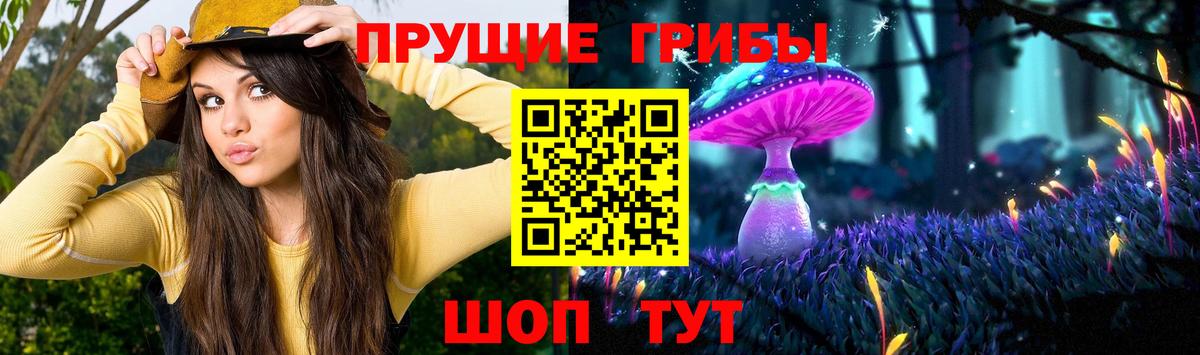 Новый Уренгой  Псилоцибиновые грибы Magic Shrooms  Вход с VPN 